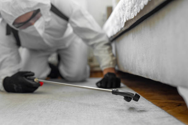 Professional Cockroach Control technician working in Ladoga, IN