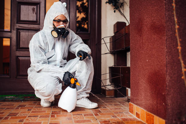 Reliable Cockroach Control contractor in Ladoga, IN by Nex Pest Control