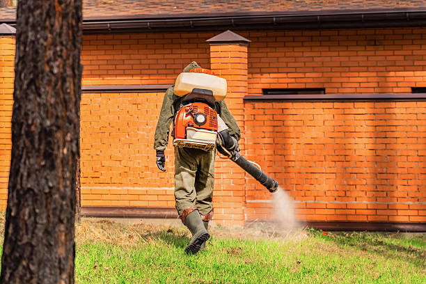 Top rated local Cockroach Control specialists in Ladoga, IN